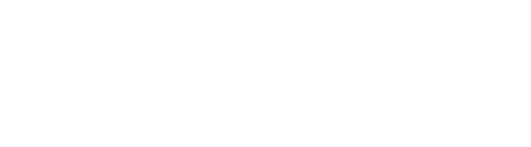 W-Robo